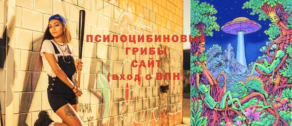 соль ск Медногорск