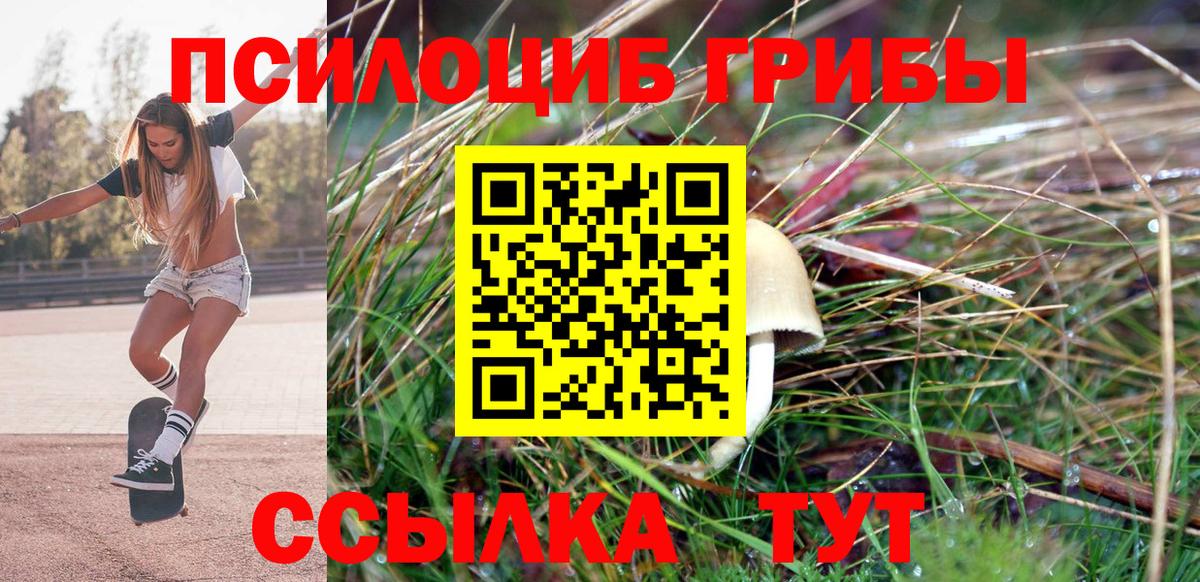 Псилоцибиновые грибы Psilocybe  Псилоцибиновые грибы Magic Shrooms  Вход с VPN  Москва 